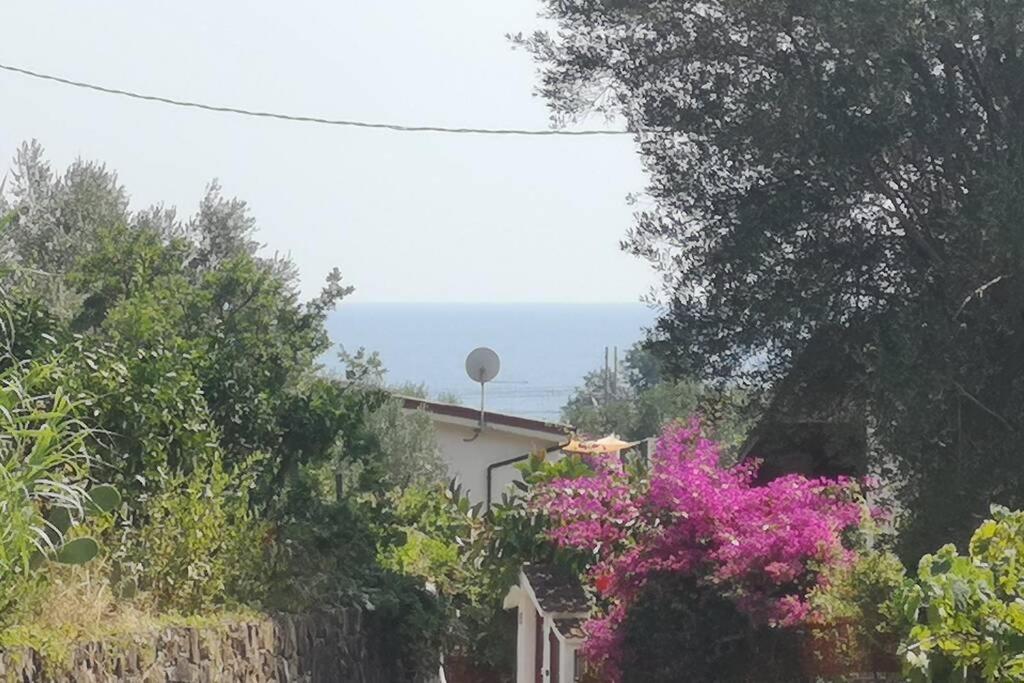 Villa Cilento Mare, Bellissima Con Ampio Giardino Capitello Bagian luar foto