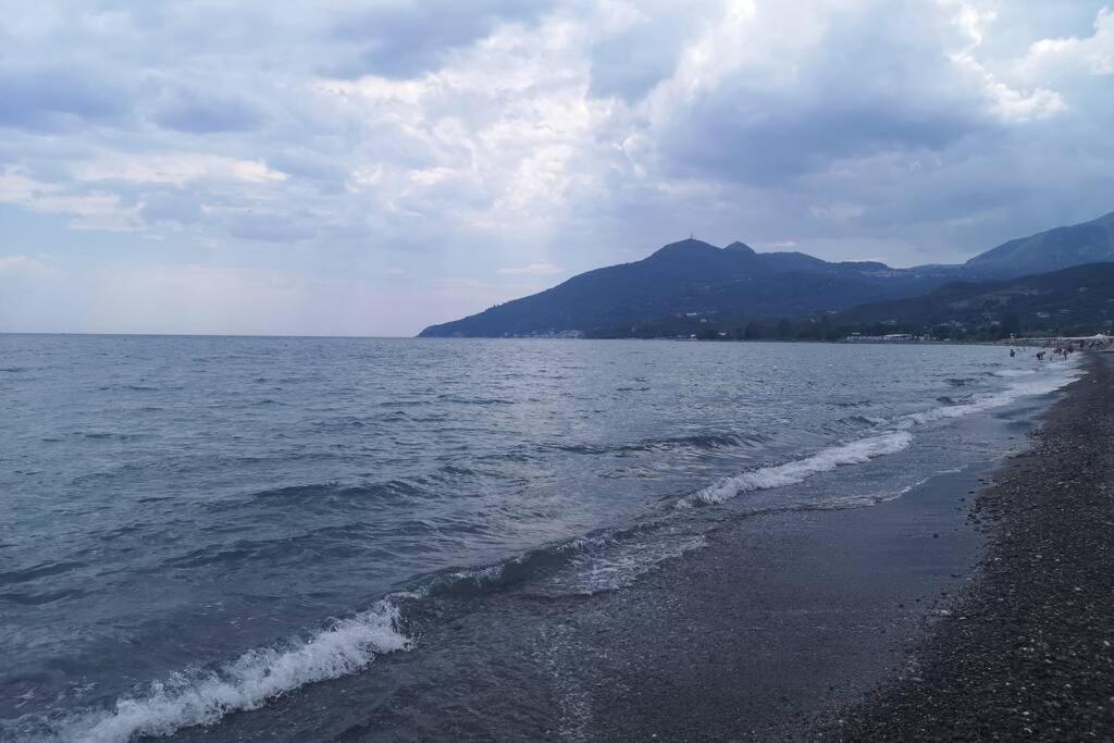 Villa Cilento Mare, Bellissima Con Ampio Giardino Capitello Bagian luar foto